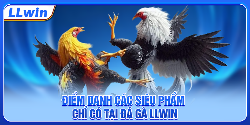 Điểm danh các siêu phẩm chỉ có tại đá gà LLWIN