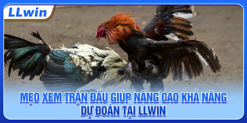 Mẹo xem trận đấu giúp nâng cao khả năng dự đoán tại LLWIN