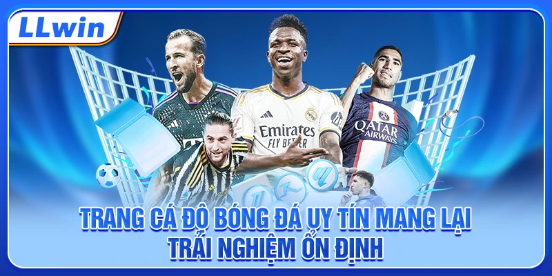 Trang cá độ bóng đá uy tín mang lại trải nghiệm ổn định