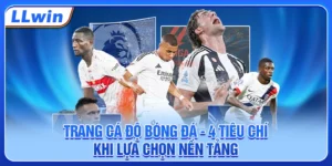 Trang Cá Độ Bóng Đá - 4 Tiêu Chí Khi Lựa Chọn Nền Tảng